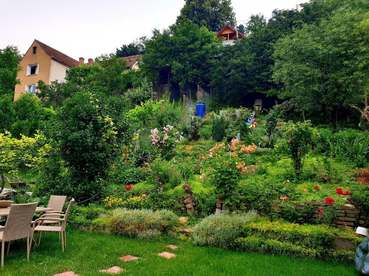 Апартаменты Casa Sperantei Сигишоара Экстерьер фото